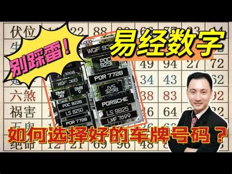 門號吉兇|數字吉兇查詢/號碼測吉兇（81數理）